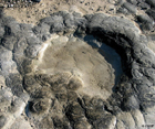 jura dinosaures saraupodes empreintes de dinosaures coisia jura
