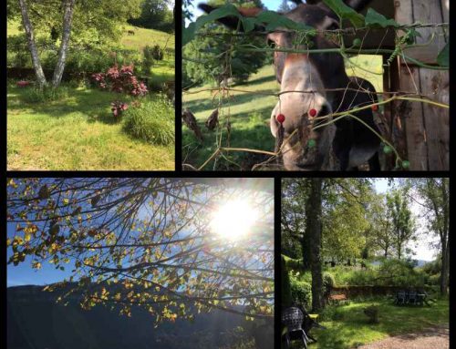 Vacances pas chères dans le Jura