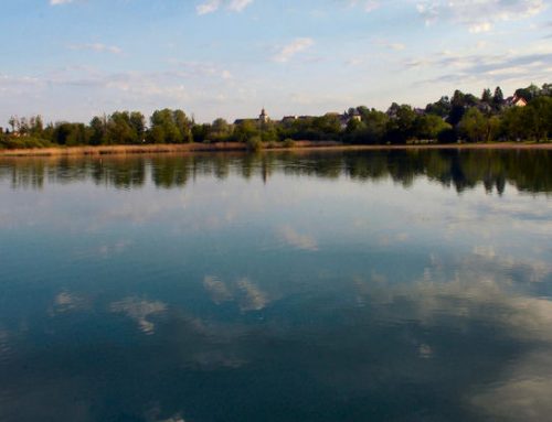 Lac de Clairvaux les Lacs