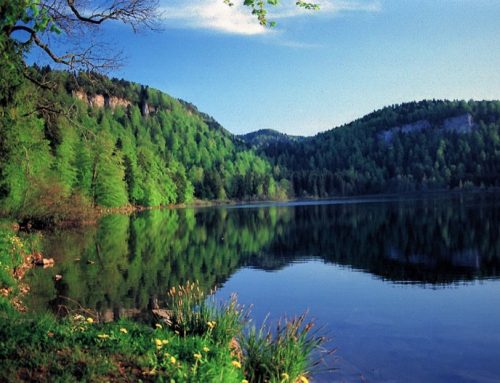 Lac de Bonlieu