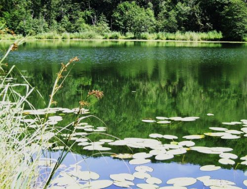 Lac de Viremont