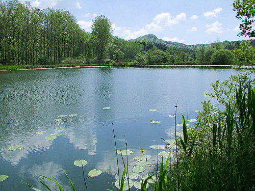 lac-viremont1