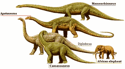 sauropodes